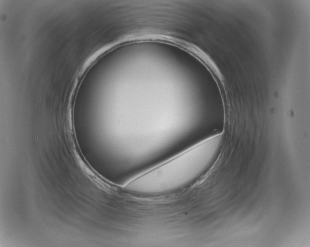X0000080161388200612081016