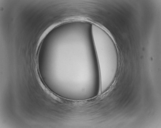 X0000080161389200612081016
