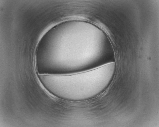 X0000080161391200612081016