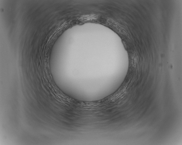 X0000080161393200612081015