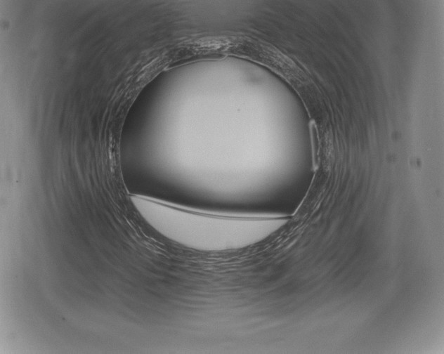 X0000080161394200612081015