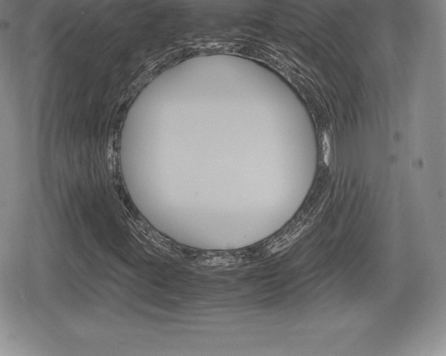X0000080161395200612081015