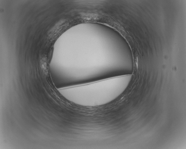 X0000080161396200612081015