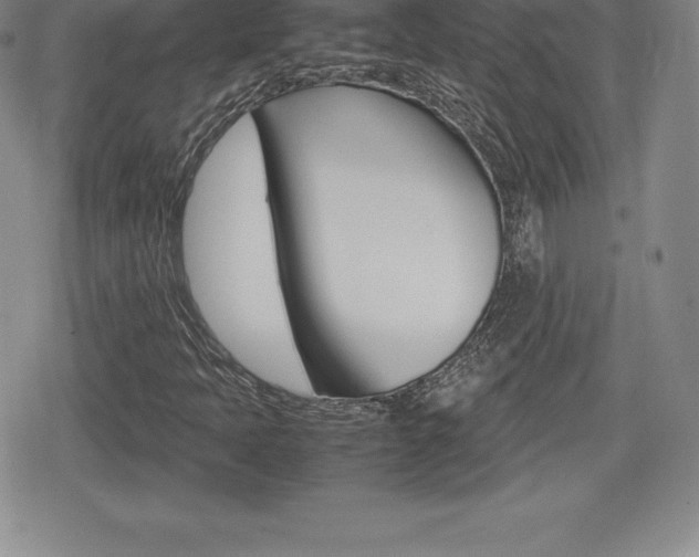 X0000080161397200612081015