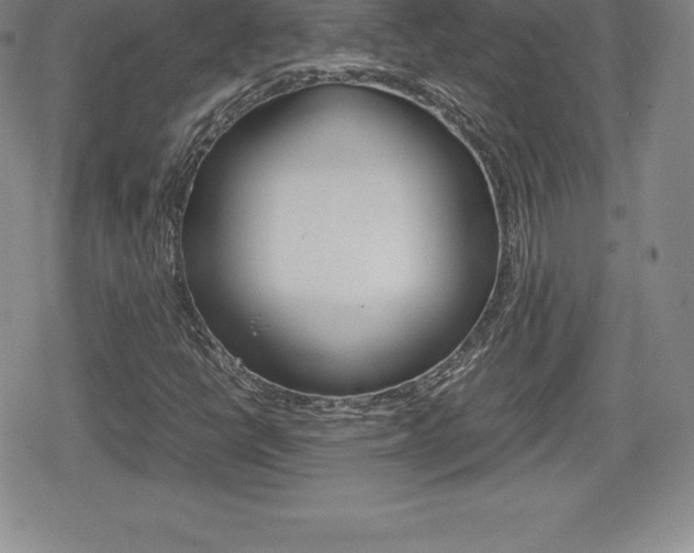 X0000080161398200612081015