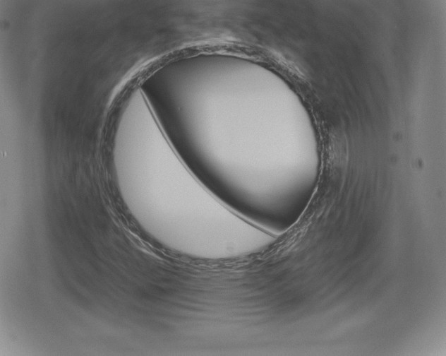 X0000080161400200612081015