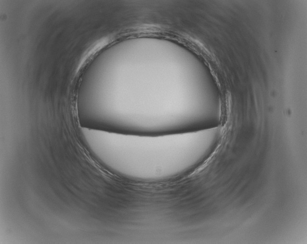 X0000080161405200612081016