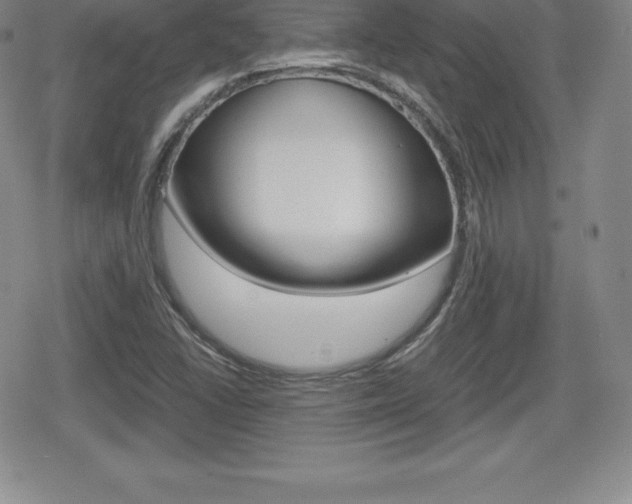 X0000080161406200612081016