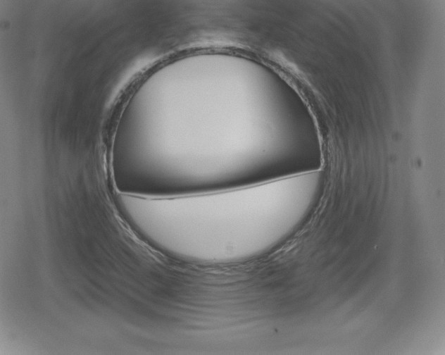 X0000080161408200612081016