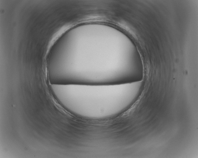 X0000080161413200612081016