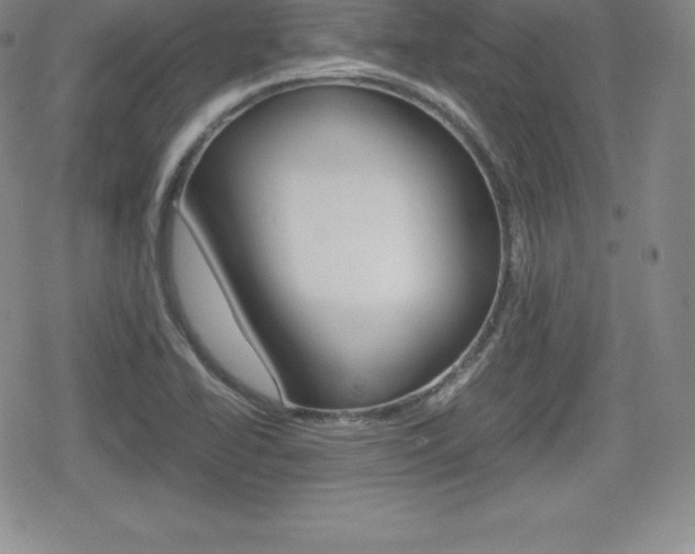 X0000080161414200612081016