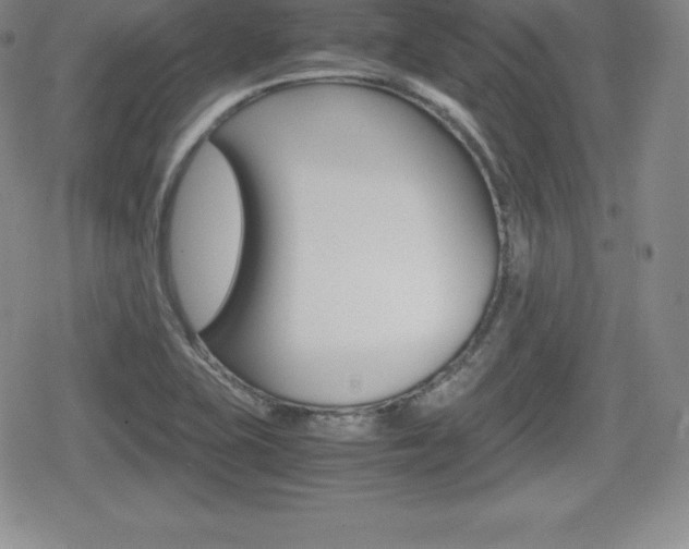X0000080161415200612081016