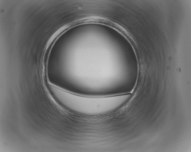 X0000080161418200612081016