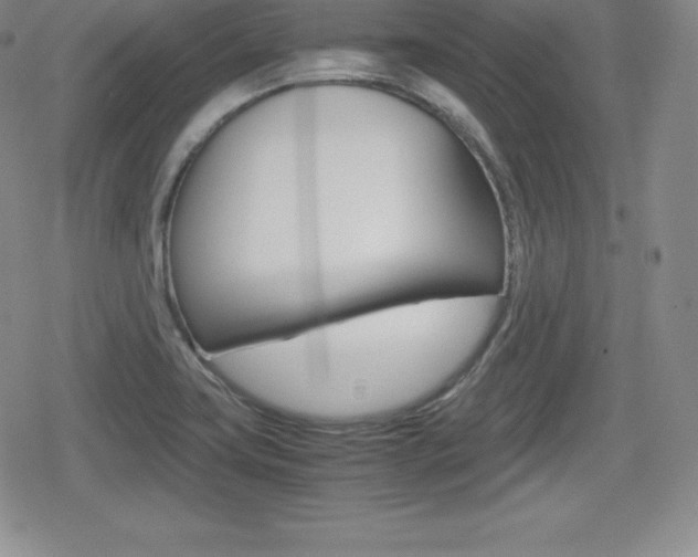X0000080161419200612081016