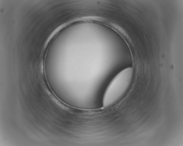 X0000080161420200612081016