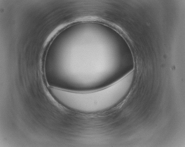 X0000080161422200612081016