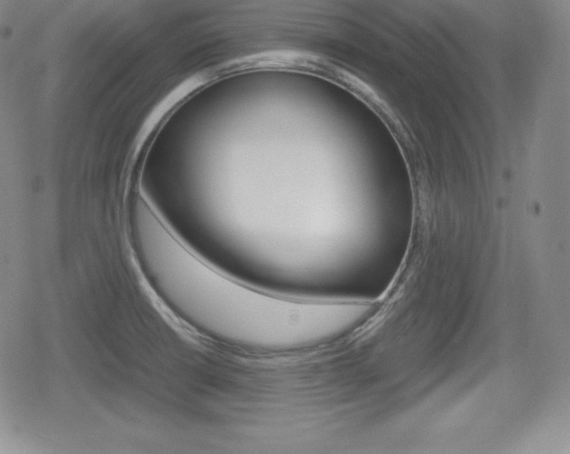 X0000080161426200612081016