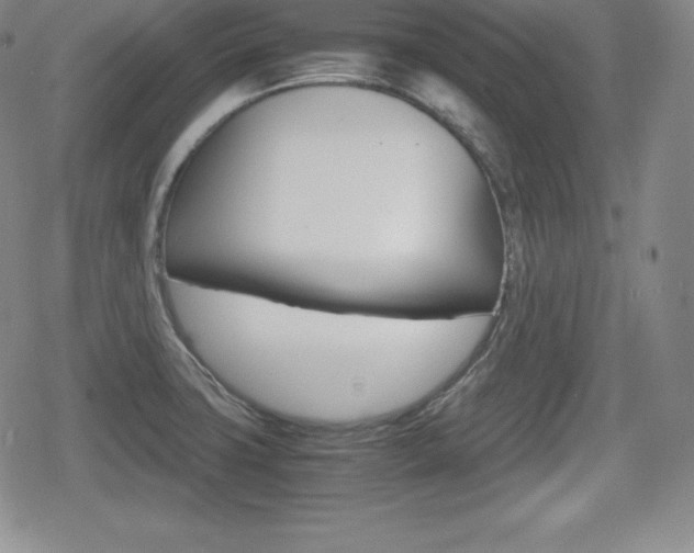 X0000080161427200612081016