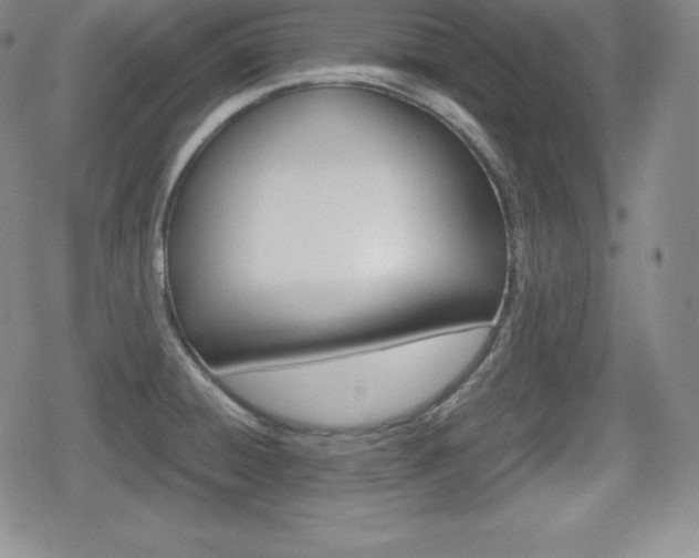 X0000080161428200612081016