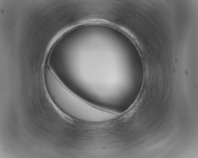 X0000080161430200612081016