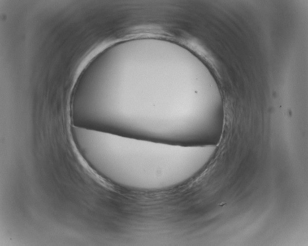 X0000080161431200612081016