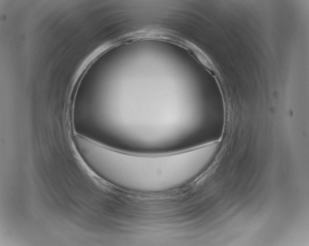 X0000080161434200612081016