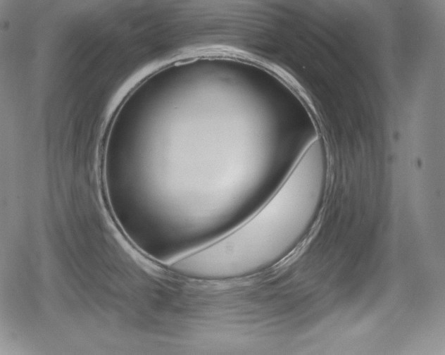 X0000080161438200612081016