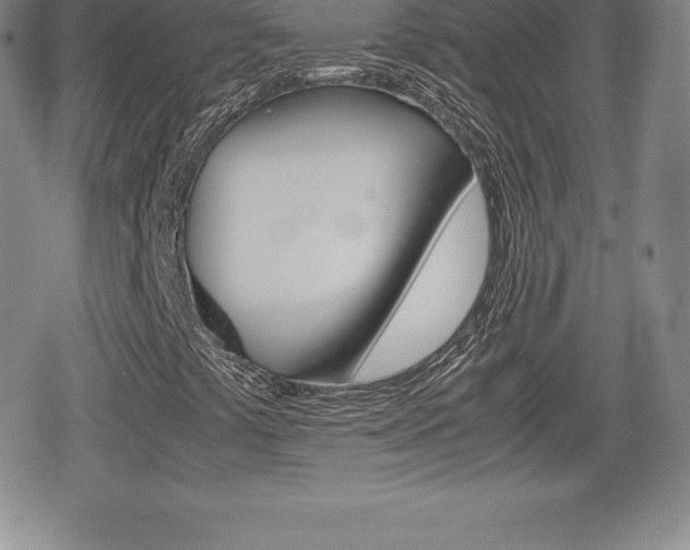 X0000080161441200612081015
