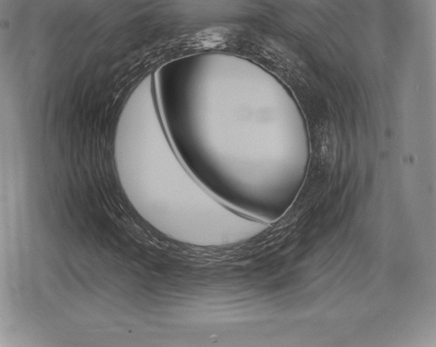 X0000080161442200612081015