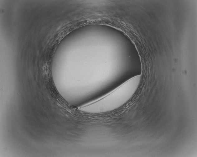 X0000080161445200612081015