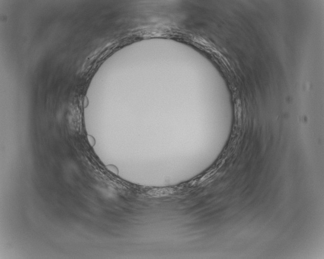 X0000080161446200612081015