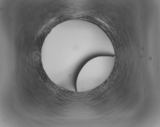 X0000080161447200612081015