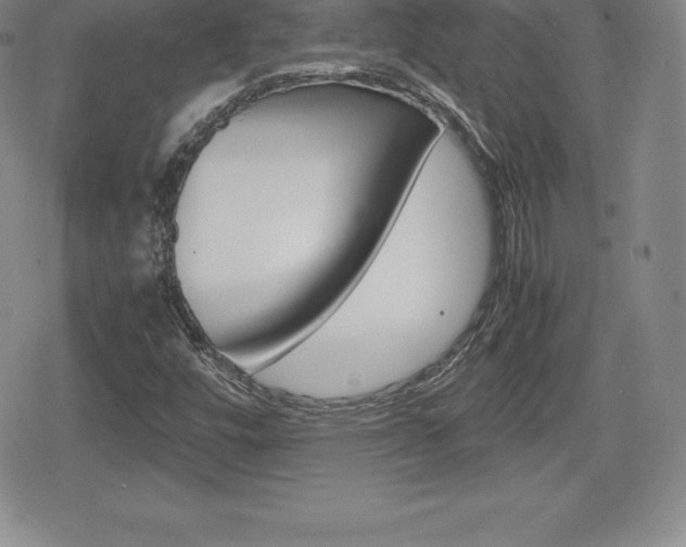 X0000080161448200612081015