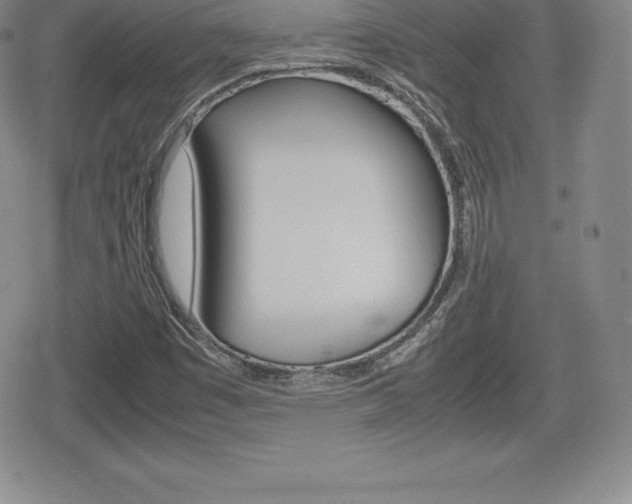 X0000080161449200612081015