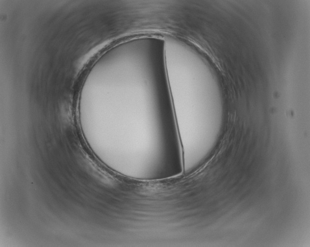 X0000080161452200612081015