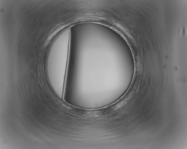 X0000080161453200612081015