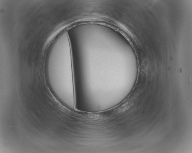 X0000080161456200612081015
