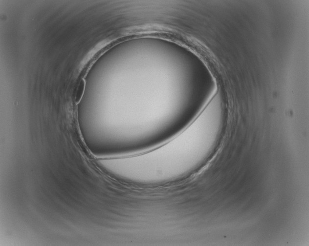 X0000080161457200612081015