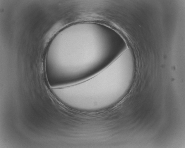 X0000080161459200612081015