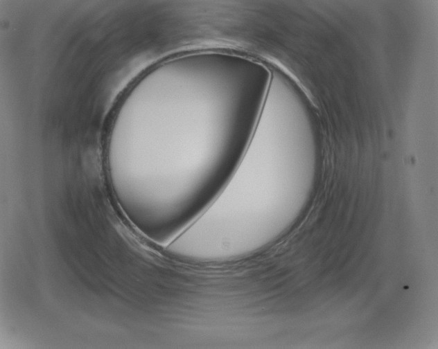 X0000080161460200612081015