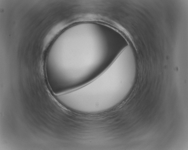 X0000080161464200612081015