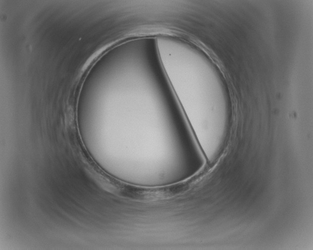 X0000080161465200612081015