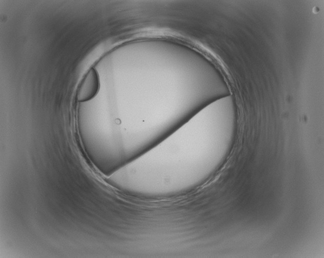 X0000080161467200612081015