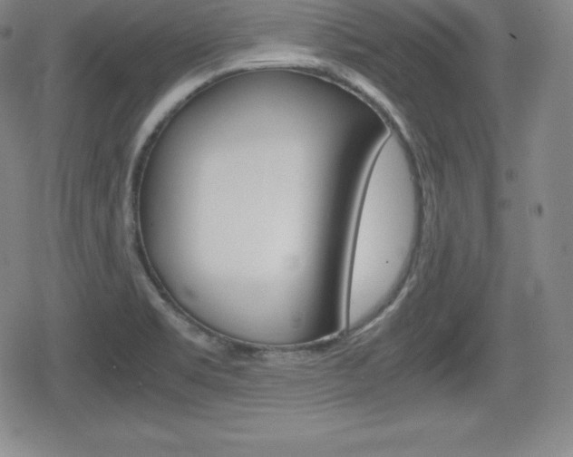 X0000080161469200612081015
