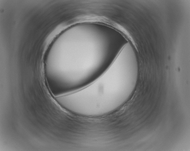X0000080161472200612081015