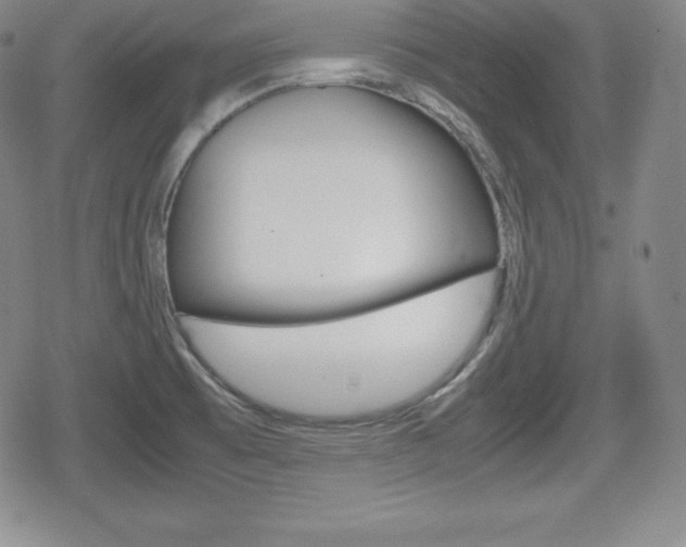 X0000080161473200612081015