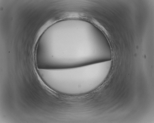 X0000080161475200612081015