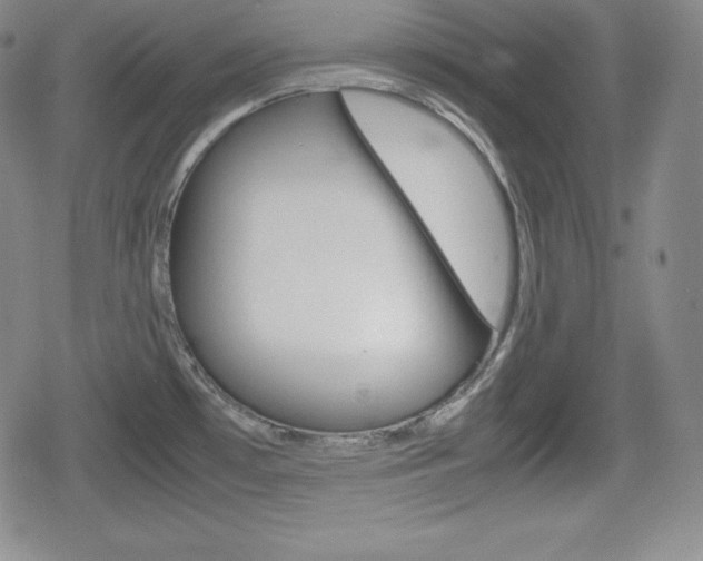 X0000080161481200612081015