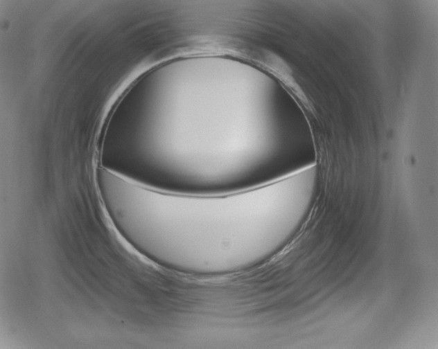 X0000080161484200612081015
