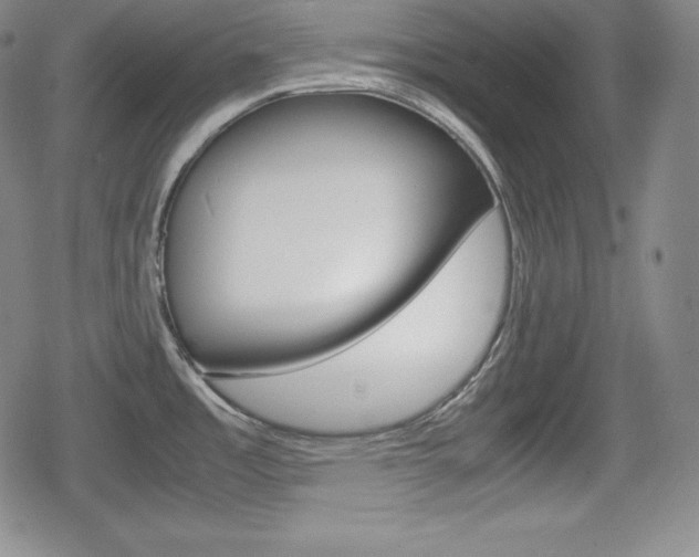 X0000080161485200612081015